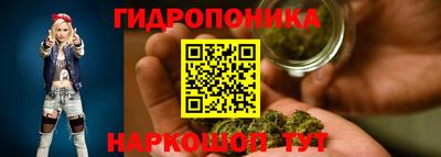 индика Лесосибирск