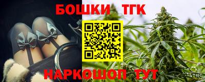 индика Лесосибирск