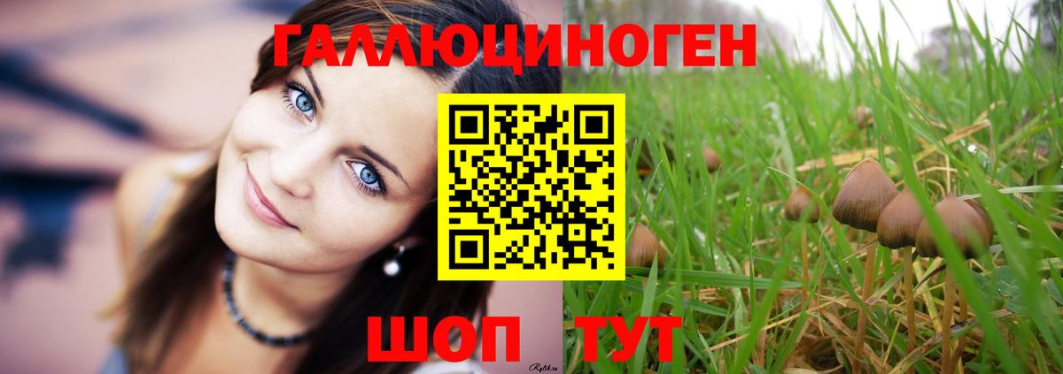 Первоуральск  Галлюциногенные грибы Psilocybe  Вход с VPN 